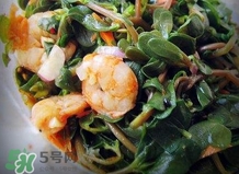 螞蚱菜怎么炒好吃？螞蚱菜做法有哪幾種