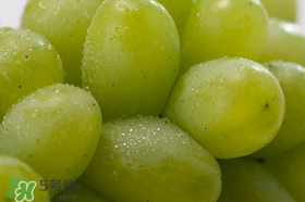 青提熱量高嗎？吃青提會胖嗎？