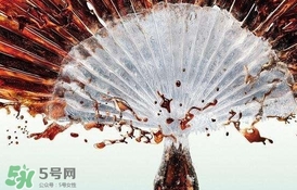 運動后可以喝可樂嗎？運動后喝可樂會胖嗎？