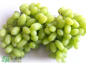 青提多少錢一斤？2017年青提多少錢一斤?