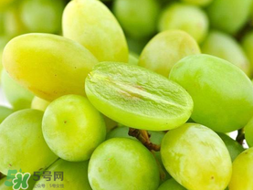 青提怎么保存？青提可以放冰箱嗎？