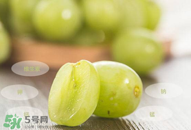 青提怎么保存？青提可以放冰箱嗎？