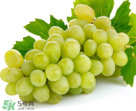 青提太酸怎么辦？青提怎么放才甜 ？