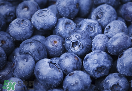 藍(lán)莓什么味道？藍(lán)莓味道是什么樣的？