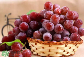 紅提多少錢一斤？紅提子多少錢一斤？