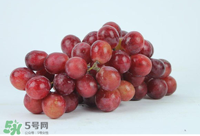 紅提多少錢一斤？紅提子多少錢一斤？