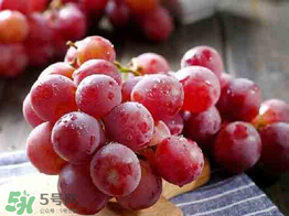 紅提可以放冰箱嗎？紅提放冷庫怎么保存？