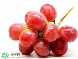 紅提可以放冰箱嗎？紅提放冷庫怎么保存？