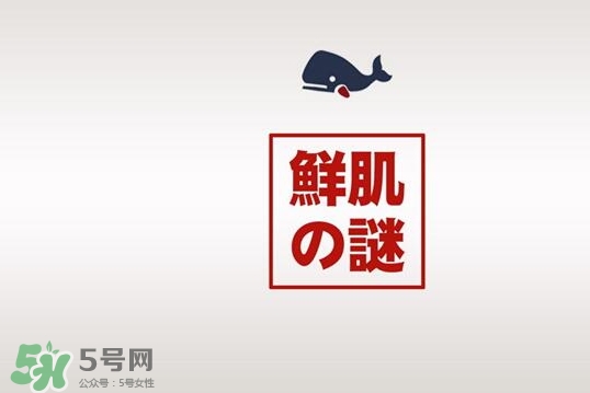 鮮肌之迷是日本的嗎？鮮肌之迷好用嗎