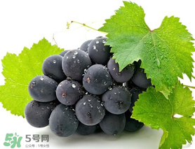 巨峰葡萄幾月份成熟？巨峰葡萄什么時候成熟？