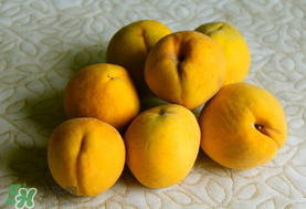 黃桃一天可以吃幾個(gè)？黃桃能多吃嗎？