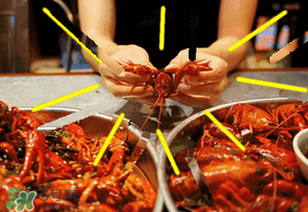 七月份還有小龍蝦嗎？七月份可以養(yǎng)小龍蝦嗎？