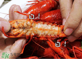 七月份還有小龍蝦嗎？七月份可以養(yǎng)小龍蝦嗎？