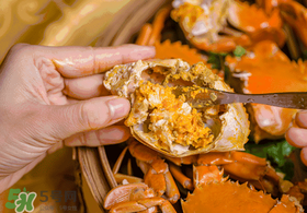 七月份有螃蟹嗎？七月份螃蟹吃公還是吃母？