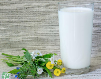 脫脂奶粉哪個(gè)牌子好？脫脂奶粉什么品牌的好？