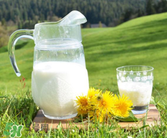 脫脂奶粉什么時(shí)候喝最好？脫脂奶粉什么時(shí)候喝？