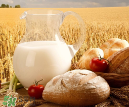 脫脂奶粉和牛生乳的區(qū)別 脫脂奶粉和牛生乳的不同 脫脂奶粉和牛生乳的區(qū)別 脫脂奶粉和牛生乳的不同