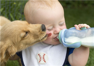 奶粉哪個國家的最好？奶粉哪個國家的奶源好？