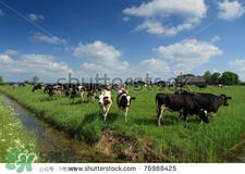 奶粉哪個國家的最好？奶粉哪個國家的奶源好？