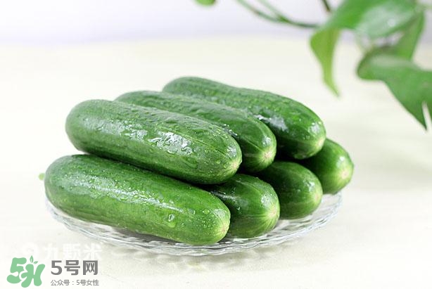 水果黃瓜常溫能放多久？水果黃瓜怎么保存？