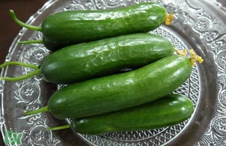 水果黃瓜是轉(zhuǎn)基因嗎？水果黃瓜的功效和作用