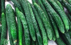 水果黃瓜怎么吃？水果黃瓜和普通黃瓜的區(qū)別