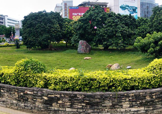 掛綠荔枝為什么這么出名？掛綠荔枝的由來和傳說