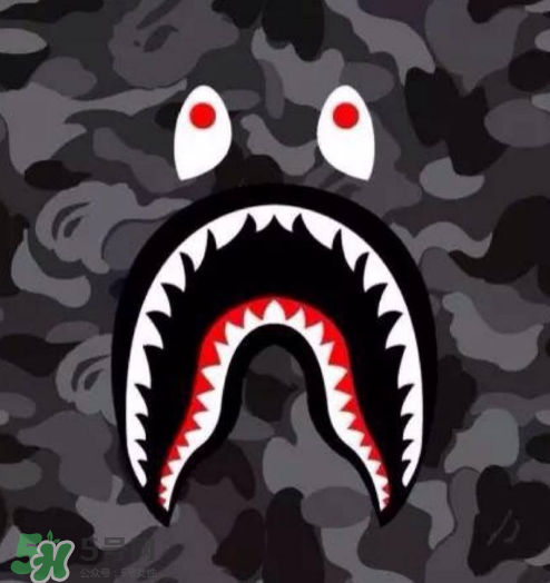 a bathing ape新款鯊魚短褲多少錢？bape鯊魚短褲專柜價格