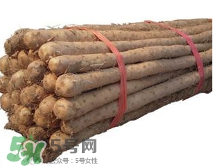 淮山藥與普通山藥有什么區(qū)別？淮山藥的功效與作用