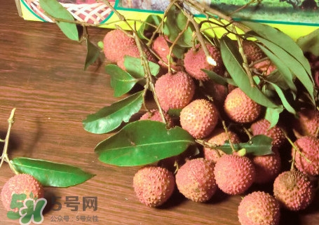 增城掛綠荔枝最貴多少錢？掛綠荔枝和普通荔枝有什么區(qū)別