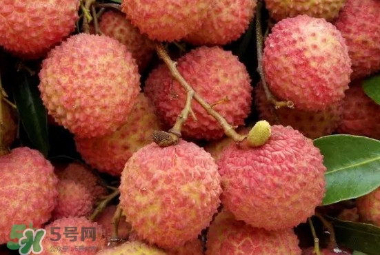 從化荔枝品種有哪些？從化哪里可以摘荔枝