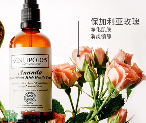 antipodes安媞珀爽膚水多少錢_專柜價(jià)格 antipodes安媞珀爽膚水多少錢_專柜價(jià)格