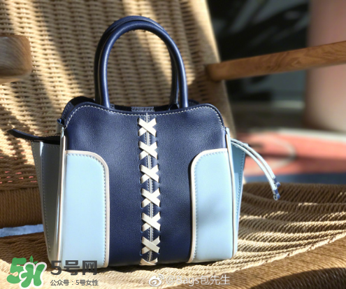 tod's與包先生聯(lián)名合作款折耳包包尺寸多大？