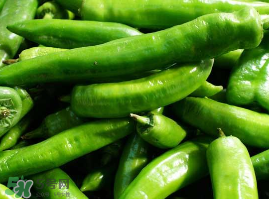 辣椒可以放冰箱嗎？辣椒怎么保存時間長？