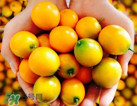 金桔的功效 金桔的作用 金桔的功效 金桔的作用