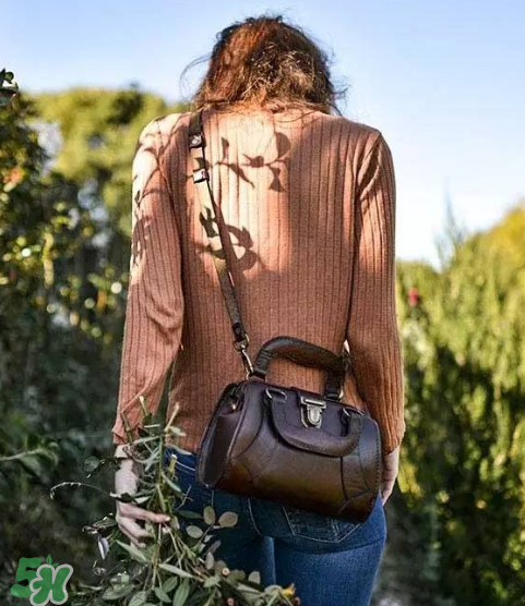 beara beara是什么牌子？beara beara的包怎么樣？