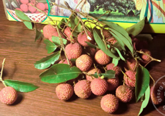 增城掛綠荔枝最貴多少錢？掛綠荔枝和普通荔枝有什么區(qū)別