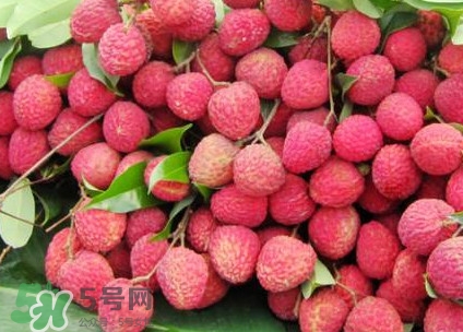 增城荔枝多少錢一斤？增城荔枝哪里的最好吃