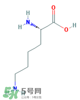 孩子吃什么可以長(zhǎng)高 孩子吃什么能長(zhǎng)高 孩子吃什么可以長(zhǎng)高 孩子吃什么能長(zhǎng)高