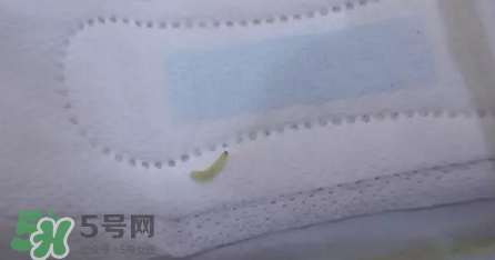 高潔絲衛(wèi)生巾有蟲嗎？高潔絲衛(wèi)生巾有熒光劑