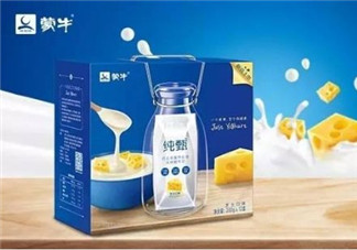 純甄芝士酸奶好喝嗎？純甄芝士酸奶口感如何？