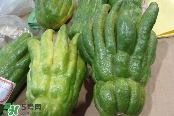 佛手與佛手瓜有什么區(qū)別？佛手與佛手鉗有什么區(qū)別