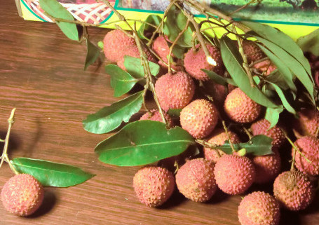 增城荔枝什么時(shí)候成熟？增城的荔枝品種有哪些？