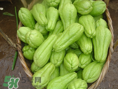 佛手瓜是涼性還是熱性？佛手瓜是什么樣子？