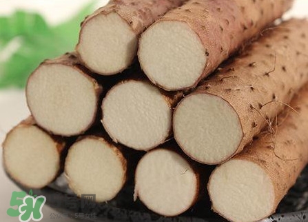 淮山藥是鐵棍山藥嗎？淮山藥和鐵棍山藥的區(qū)別