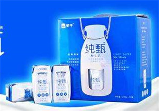 純甄酸奶過期還能喝嗎？純甄酸奶過期一點(diǎn)點(diǎn)要緊嗎？
