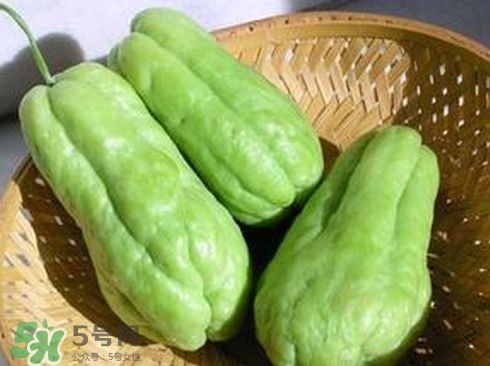 佛手瓜汁沾到手上怎樣洗？佛手瓜怎么做好吃？