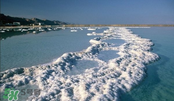 geomar磨砂膏哪款好用？geomar吉爾瑪磨砂膏怎么買