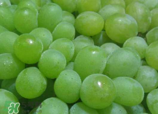 ?青提和葡萄有什么區(qū)別？?青提是葡萄嗎？