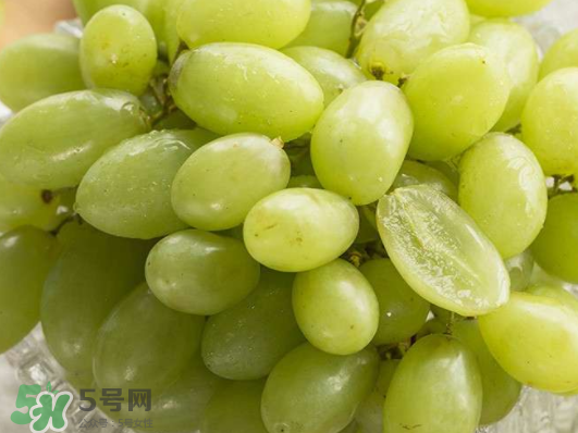 ?青提和葡萄有什么區(qū)別？?青提是葡萄嗎？